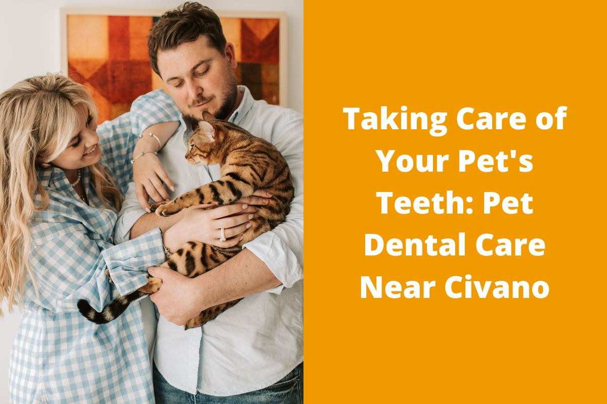 Taking-Care-of-Your-Pets-Teeth-Pet-Dental-Care-Near-Civano