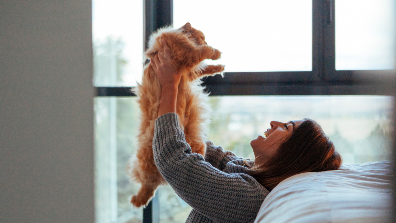 Woman joyfully lifting a fluffy orange cat in front of a large window.