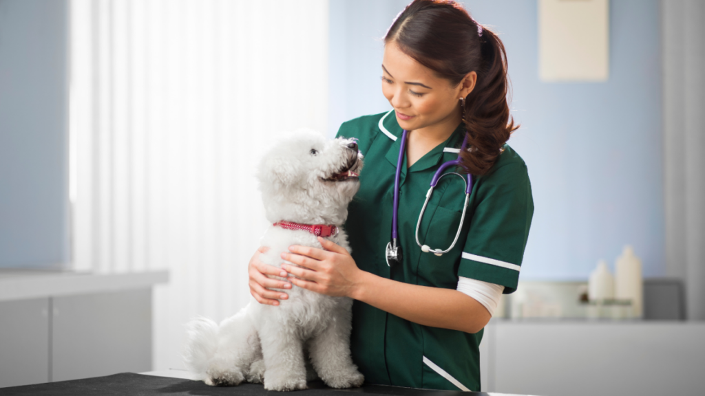 A veterinarian in a green uniform gently examines a fluffy white dog on an examination table.