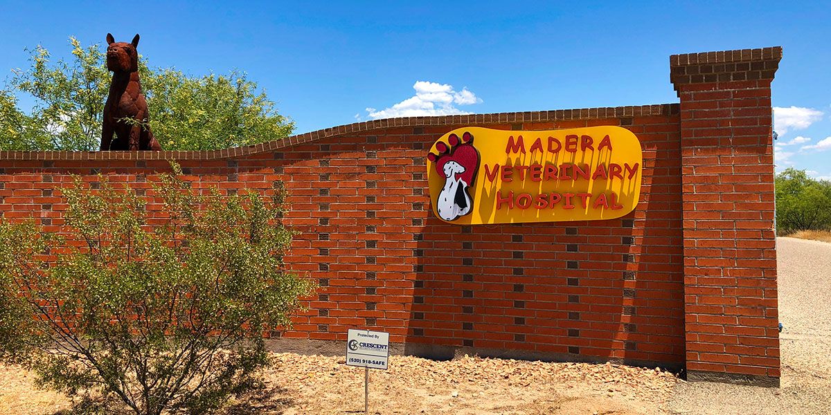 Brick wall with "Madera Veterinary Hospital" sign featuring animal paw prints and shrub in front.