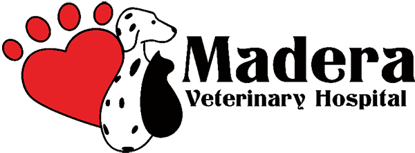 Heart with a paw print, and silhouettes of a Dalmatian and a cat next to "Madera Veterinary Hospital" text.
