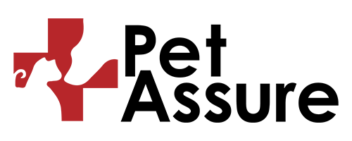 A stylized, two-tone logo with a red triangular icon and "Ted Talks" written in black text.