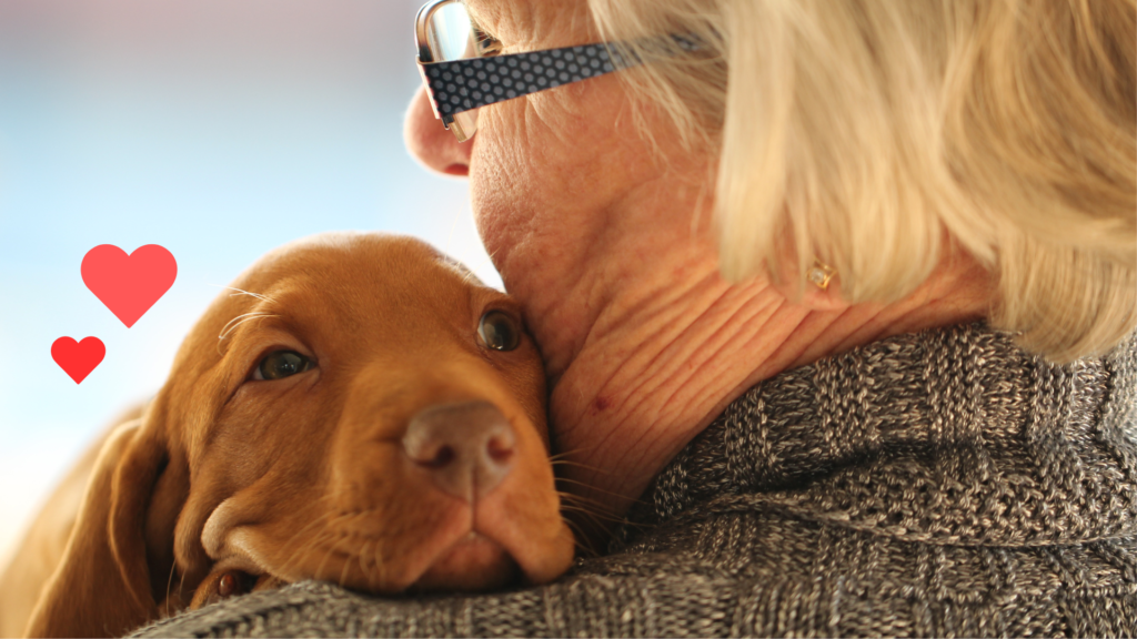 New dog bonding with an owner as part of Madera Veterinary Hospital's new pet guide